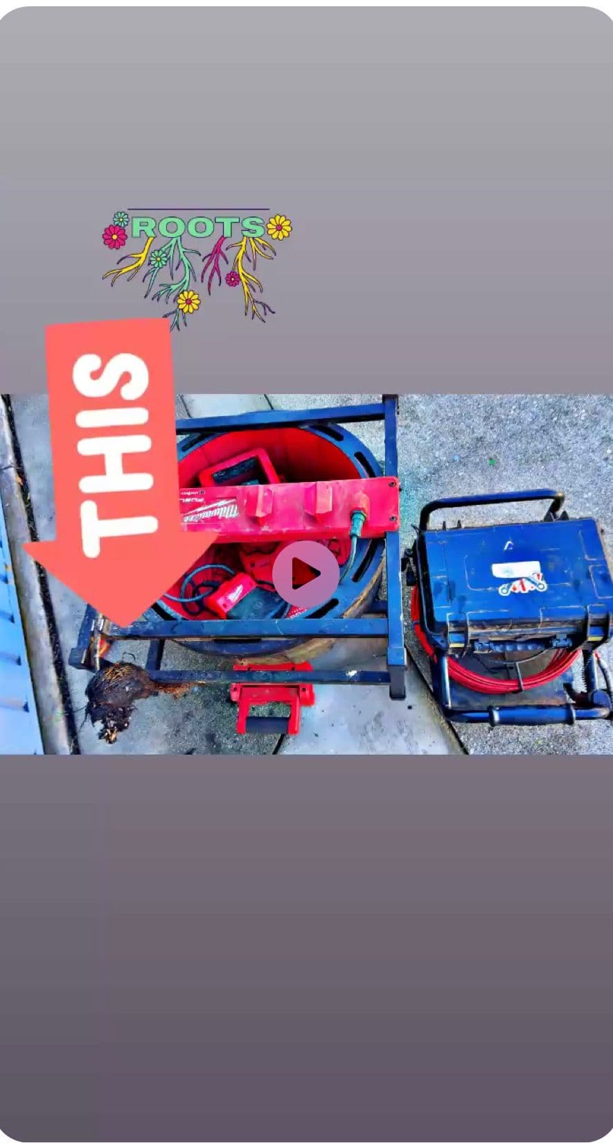 Outdoor Drains Protected From Roots in San Bernardino Area