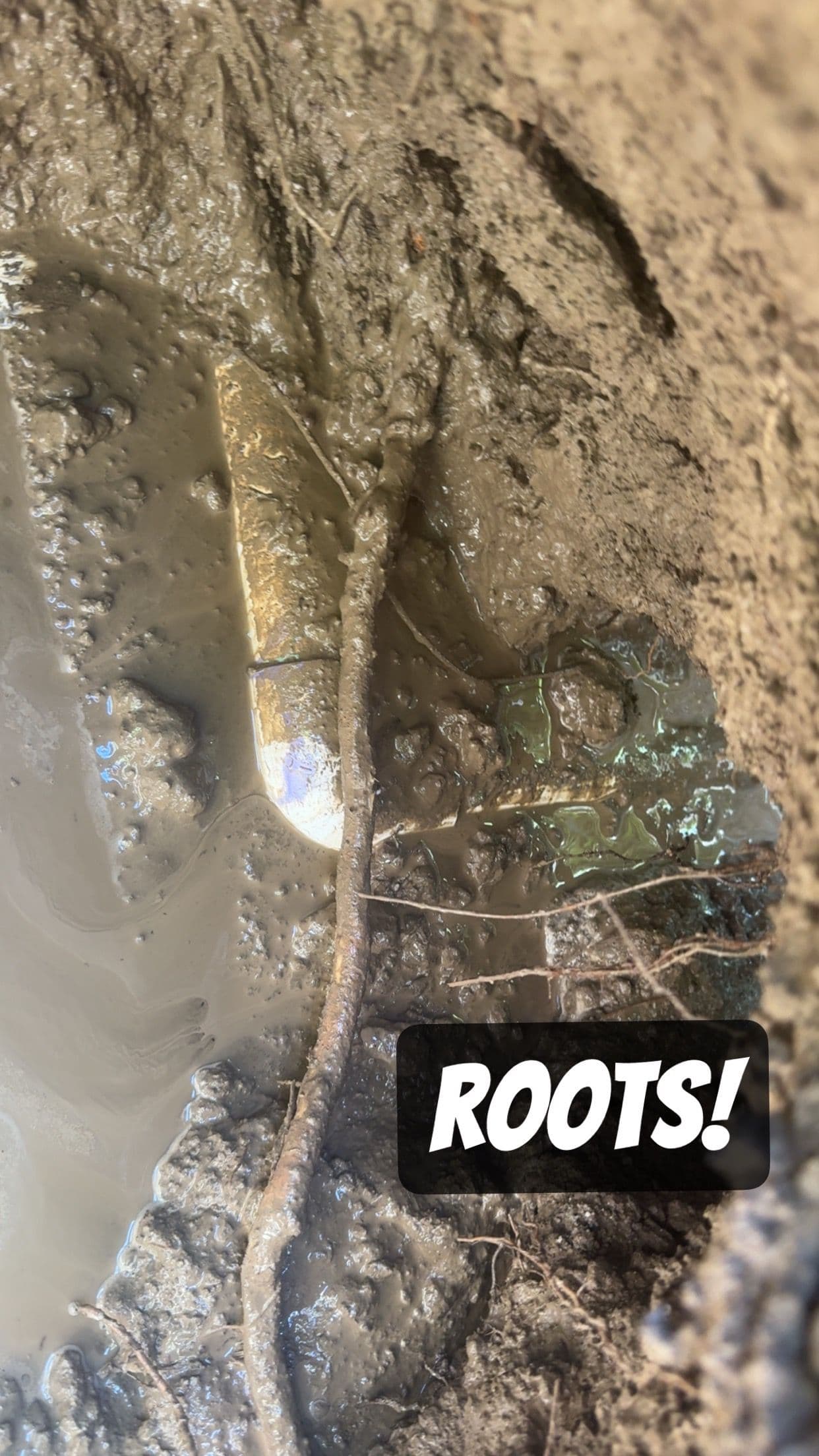 Project What's Really Hiding Underground Can Surprise You image